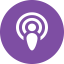 podcast_icon