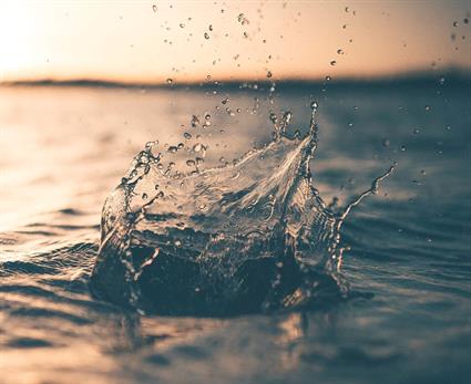 Are You A VRP Are You A VRP