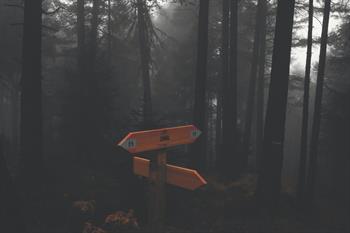 daniel-plan-92uQtGGMX2A-unsplash daniel-plan-92uQtGGMX2A-unsplash