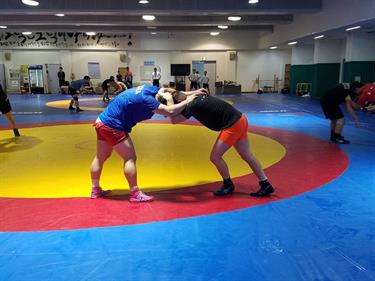 havenertaereung havenertaereung