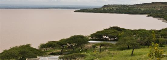 lake-langano - Guide to Ethiopia.com lake-langano - Guide to Ethiopia.com