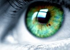 Vision Eyes Vision Eyes